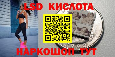 дмт Гатчина