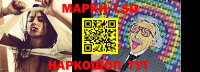 дмт Гатчина