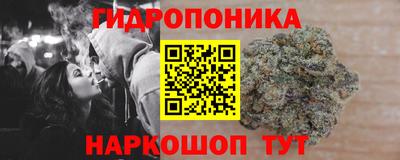 индика Азнакаево