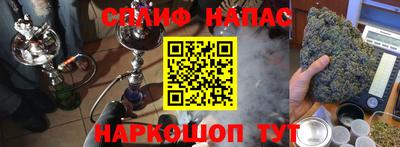 дмт Гатчина