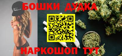 дмт Гатчина
