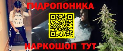 дмт Гатчина