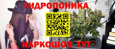 ECSTASY Гагарин