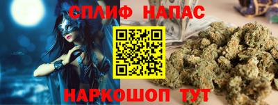 дмт Гатчина