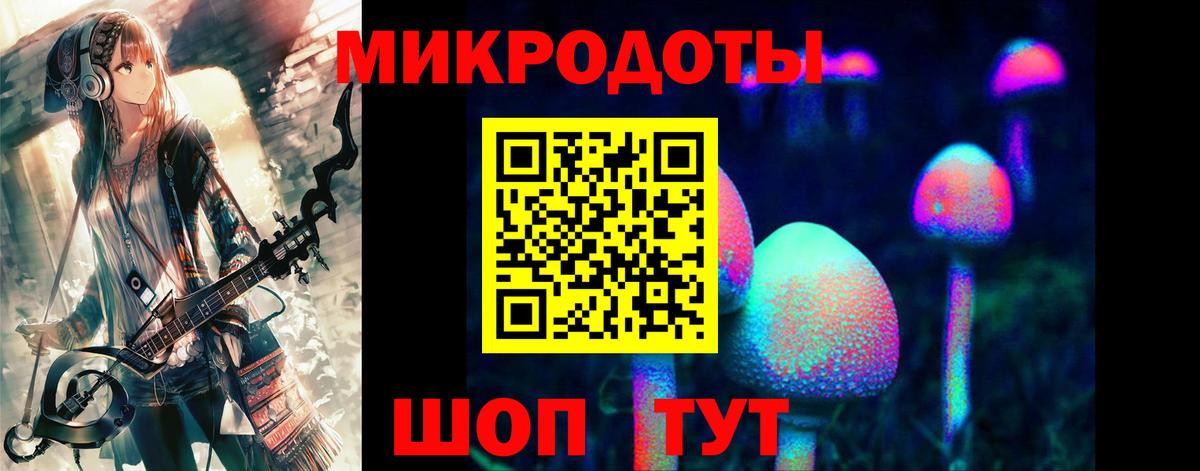 Псилоцибиновые грибы мухоморы Октябрьский